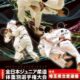 全日本ジュニア柔道体重別選手権大会2016