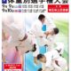全日本ジュニア柔道体重別選手権大会2017