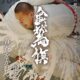 金鷲旗高校柔道大会2026(2026.7.22-24)